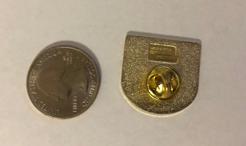Volunteers Always Caring Always Sharing Pin