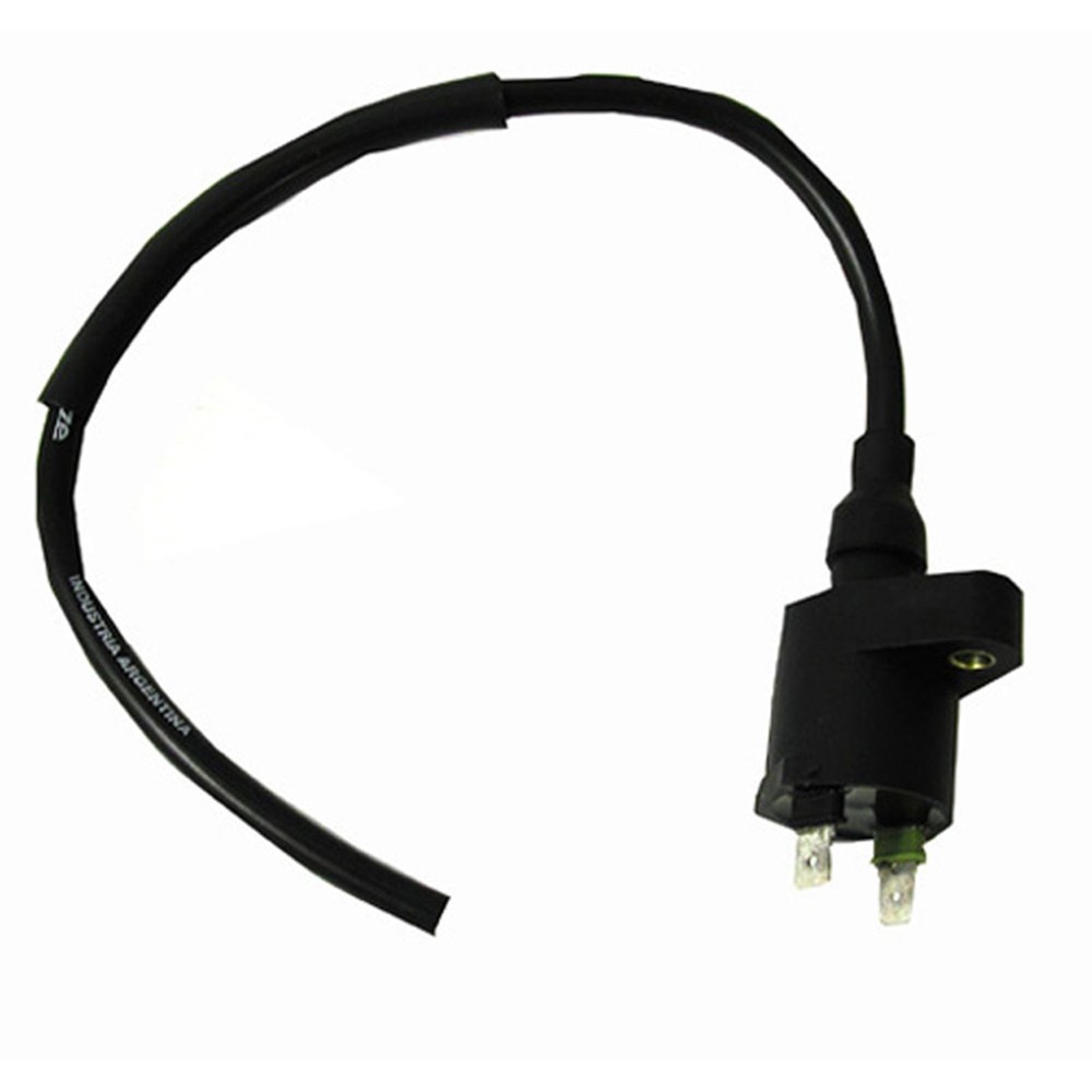 Ricks Ignition Coil 23-604