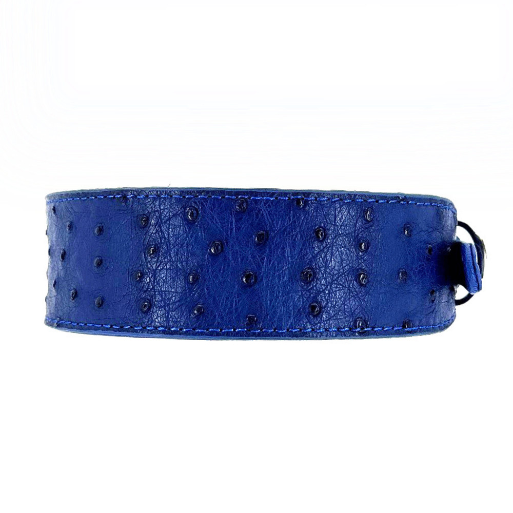 Blue Ostrich Collar