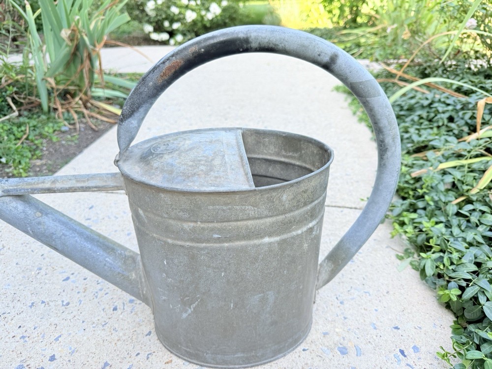 RARE Antique GERMAN BAT GALVANIZED Watering Can