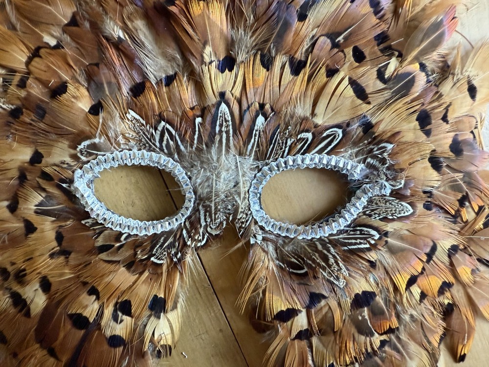 GORGEOUS Mardi Gras FEATHER MASK | Natural pheasant type coloring