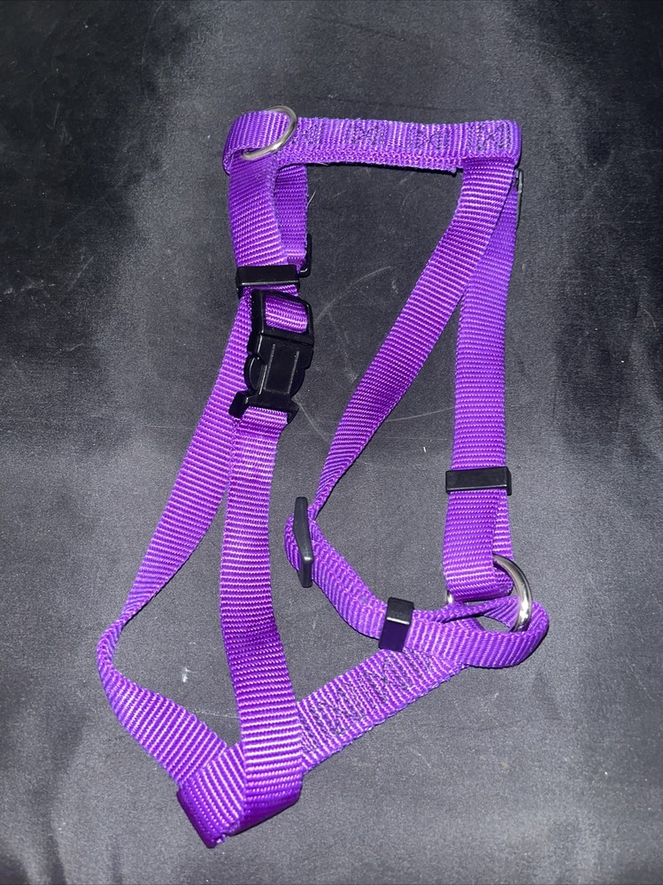 Purple Medium Harness