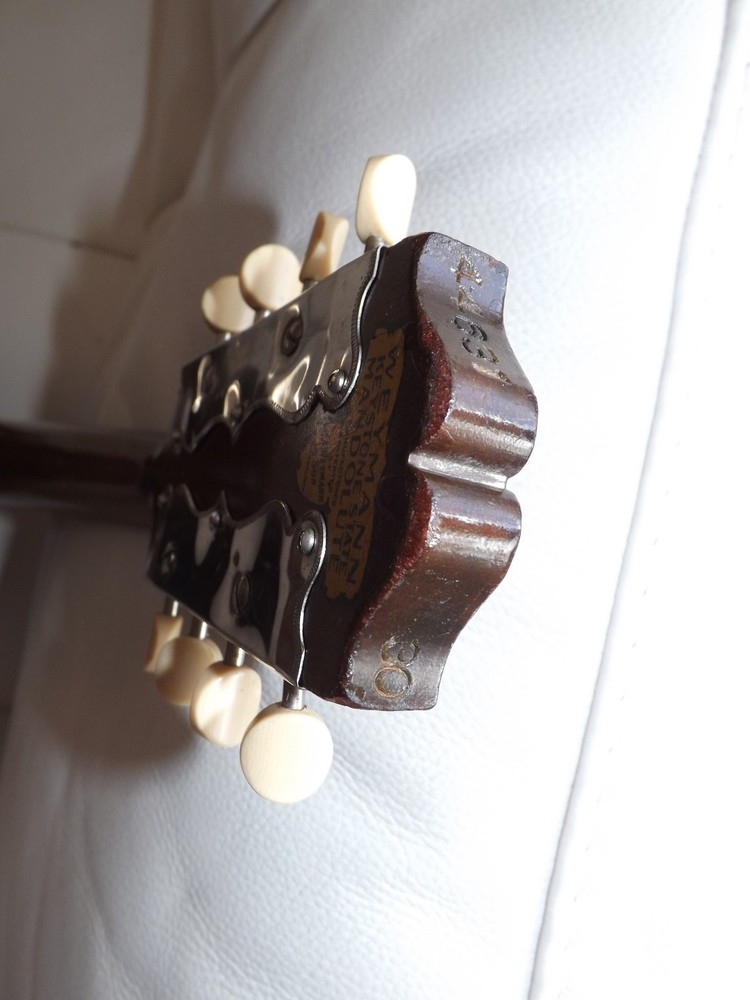 Rare Weymann Mandolute 100yrs old