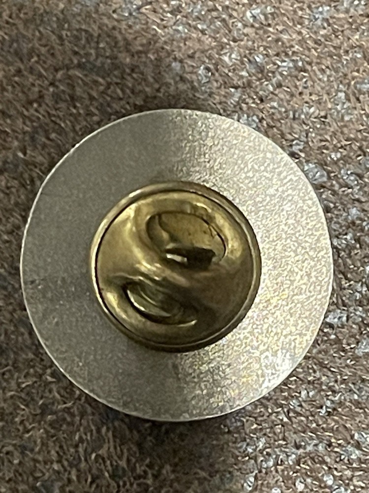 Warrior Citizen Army Reserve Lapel Pin