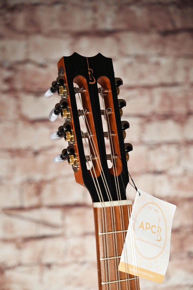 APC MANDOLA model Classic, solid sapelli