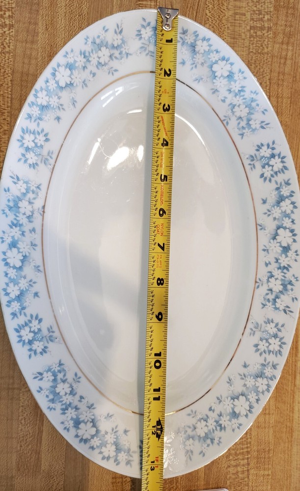 Vintage Montgomery Ward Platter, Danube, Fine China