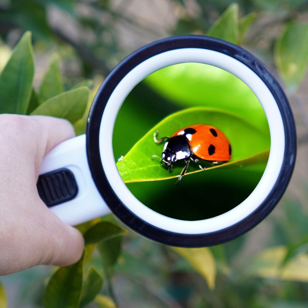 TMANGO Magnifying Glass with Light, 30X Handheld Large White