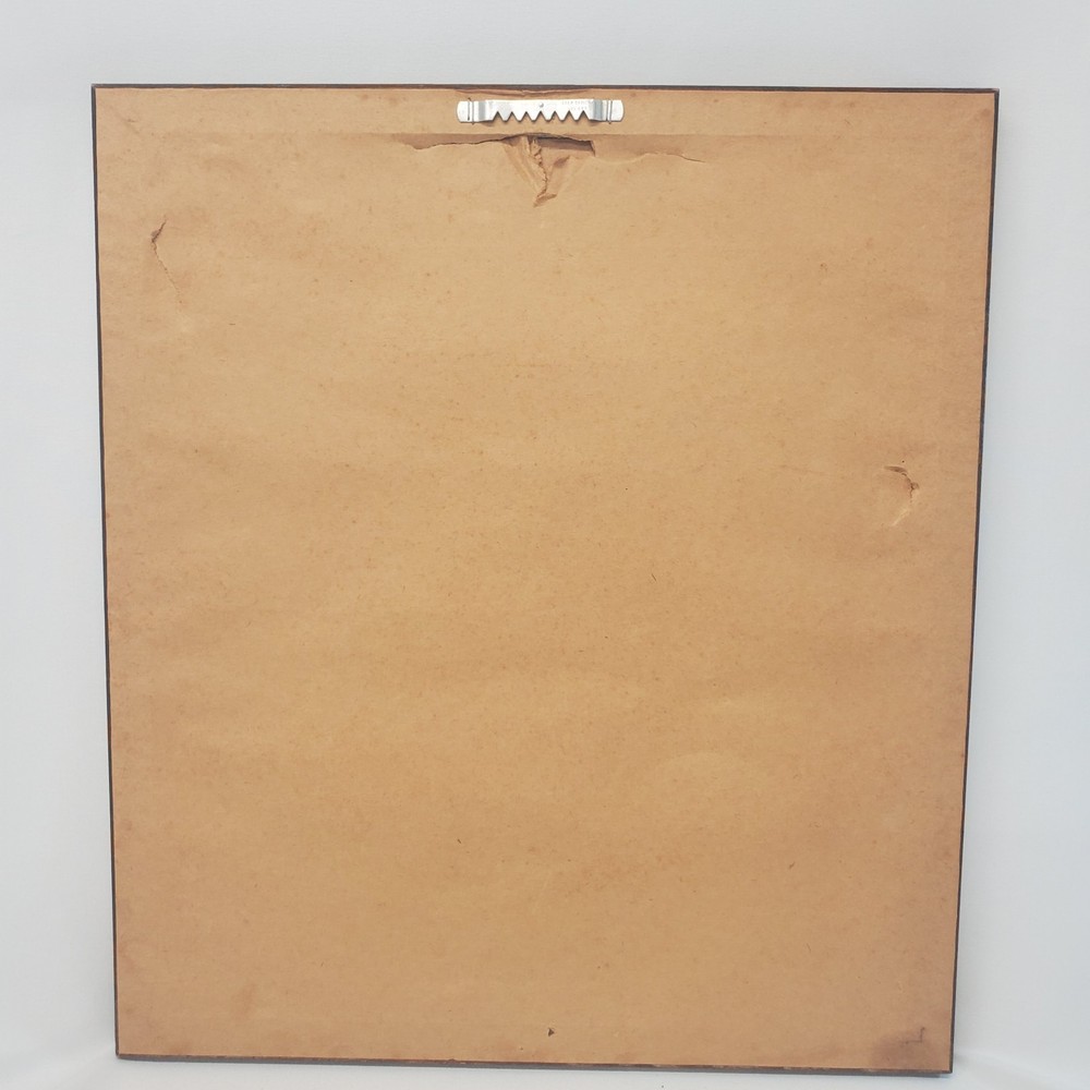 Dot Goodwin Embossed Pineapple White Paper Art Framed Signed 16.5"x14.5"