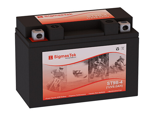 GS Battery GT9B-4 Battery (Replacement)