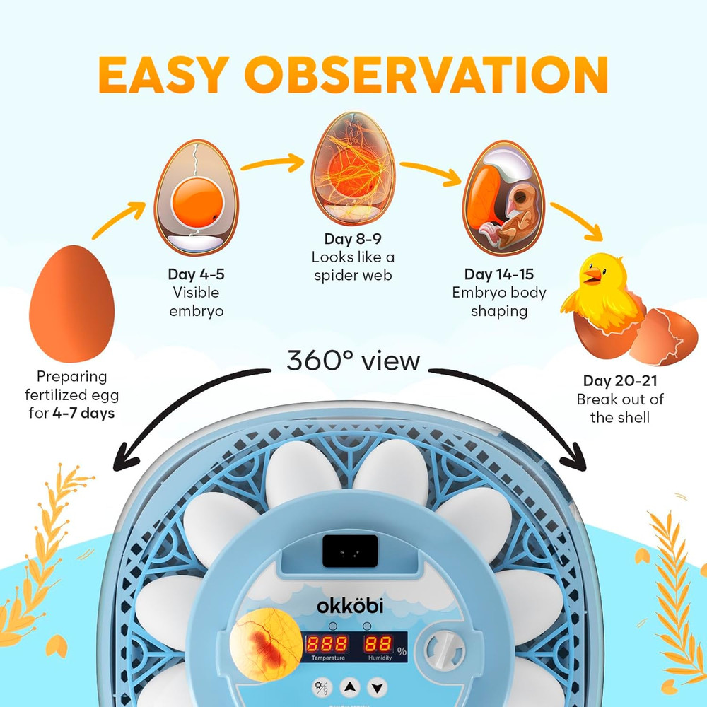 12 Egg Incubator with Automatic Egg Turning and Humidity Control – Egg Incubator