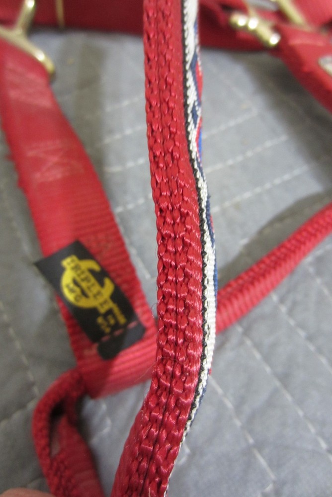 Triple E 1" Nylon Adjustable Horse Halter Red with Gold Hardware