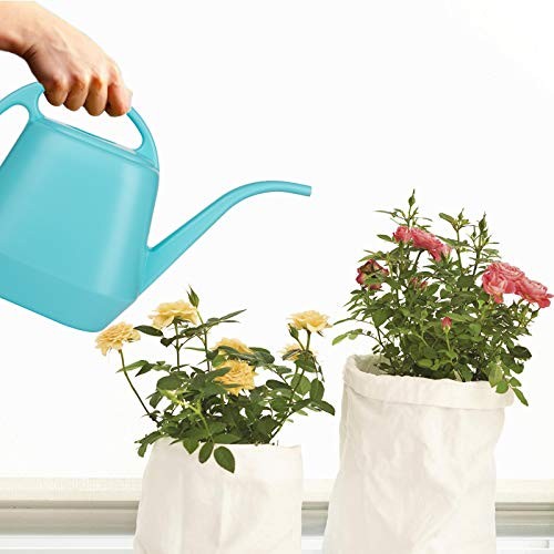 Plastic Watering Can, Bright Blue, 1-Gallon