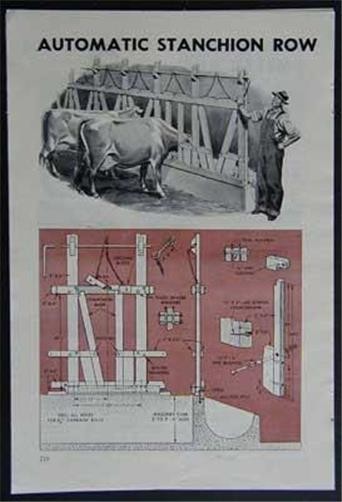 Automatic Stanchion Row How To build PLANS Free Range Dairy