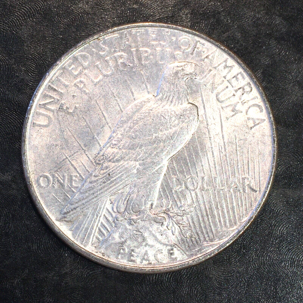 1922 Peace Silver Dollar - High Quality Scans #P994