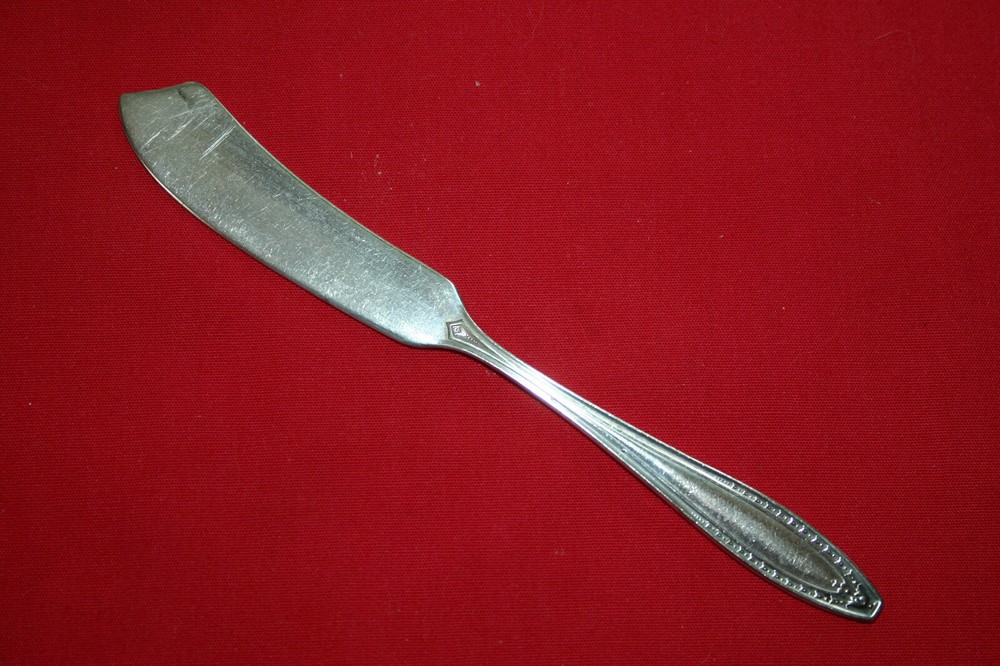 Oneida Silver Webster II  Flat Handle Butter Spreader *SHIPS FREE*