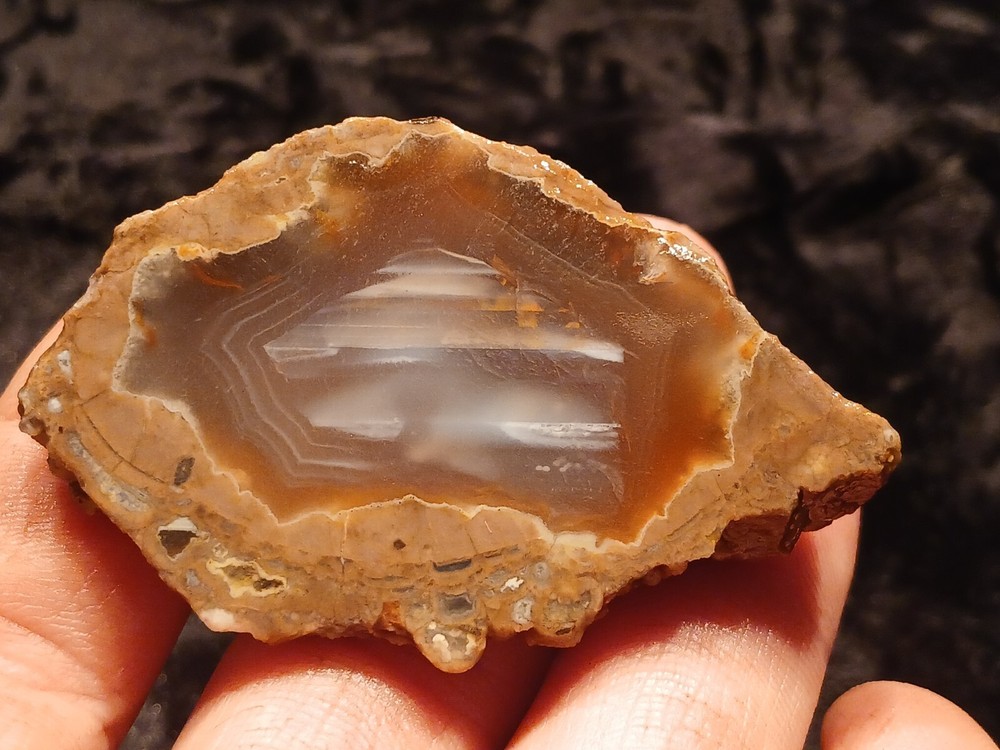 Richardson Ranch Waterline Agate Rough End