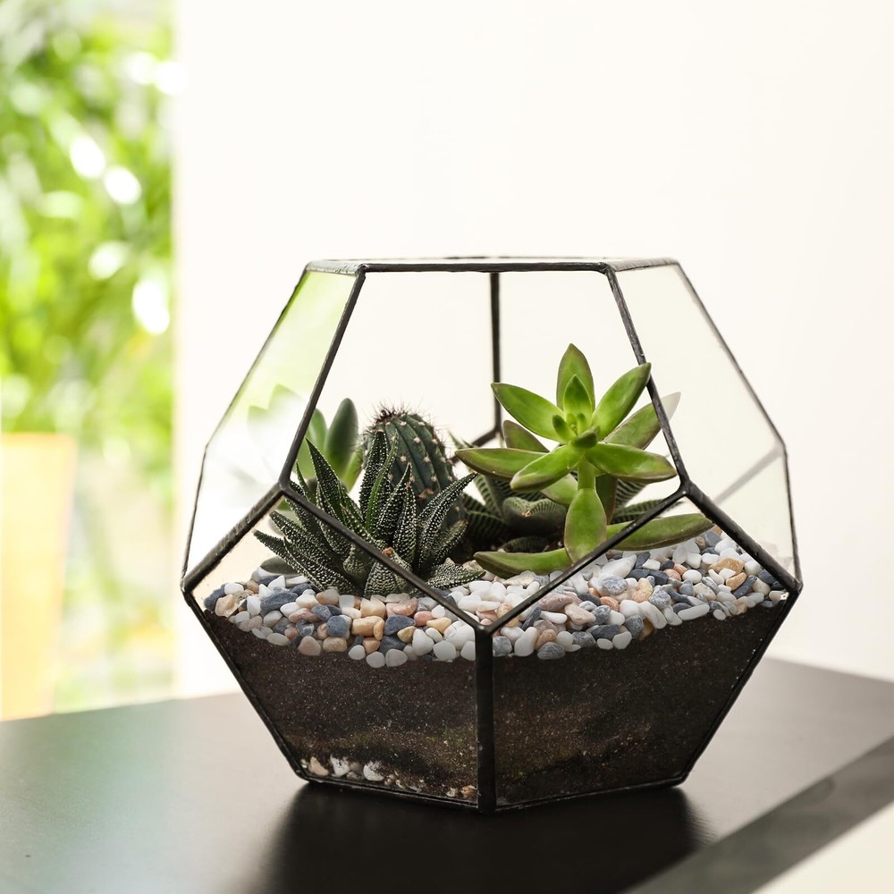 2.5 lbs Pebbles for Indoor Plants