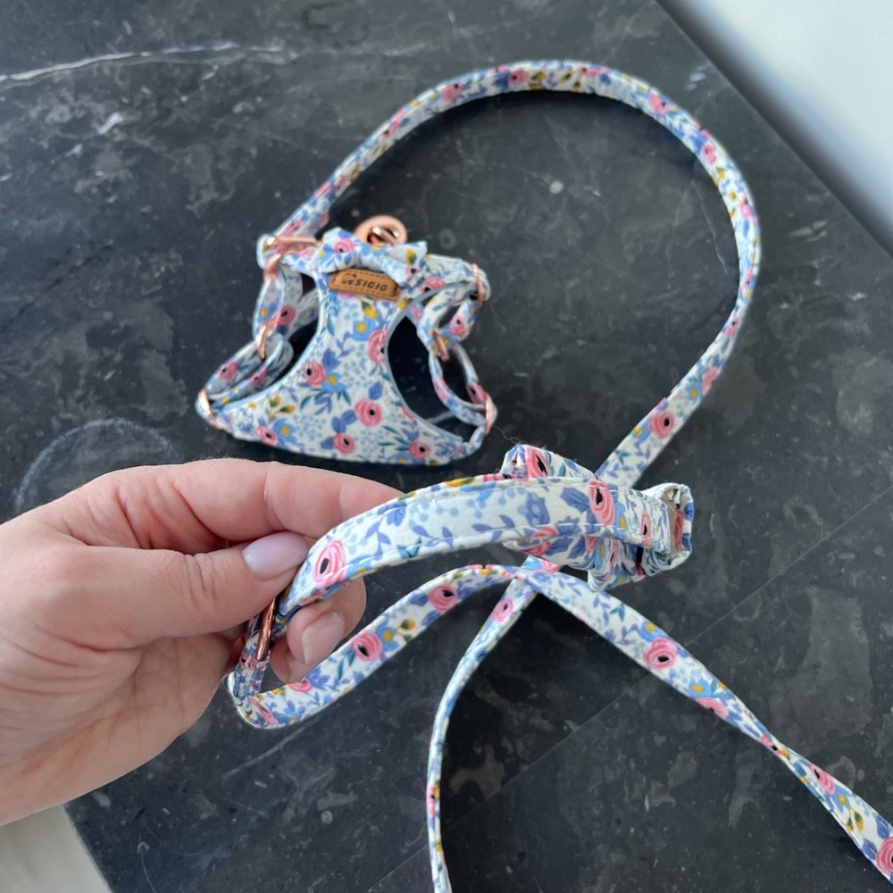Tiny dog harness and leash set