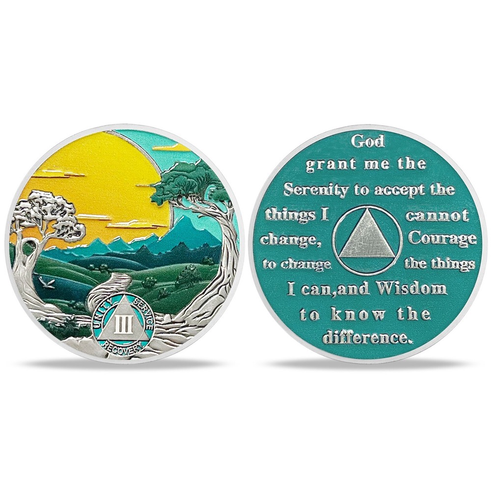 AA 3 Year Sobriety Coin Alcoholics Anonymous AA Chips Medallion Three Year Sober