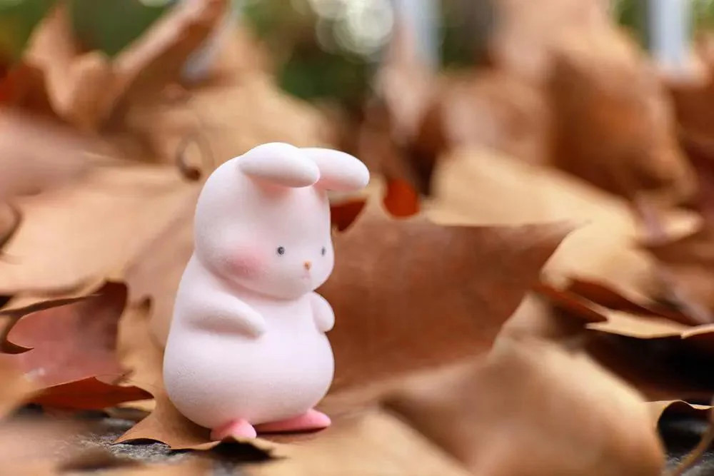 Lonepine Momoko Series