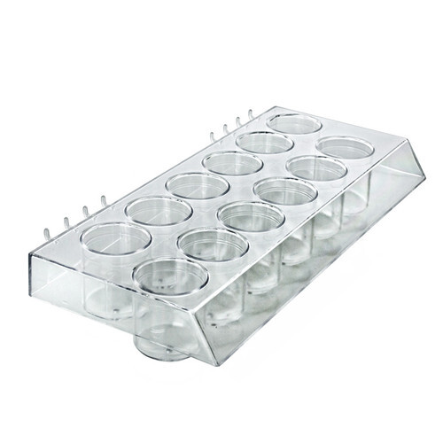Azar Displays Molded 12-Cup Display Tray, 2-Pack