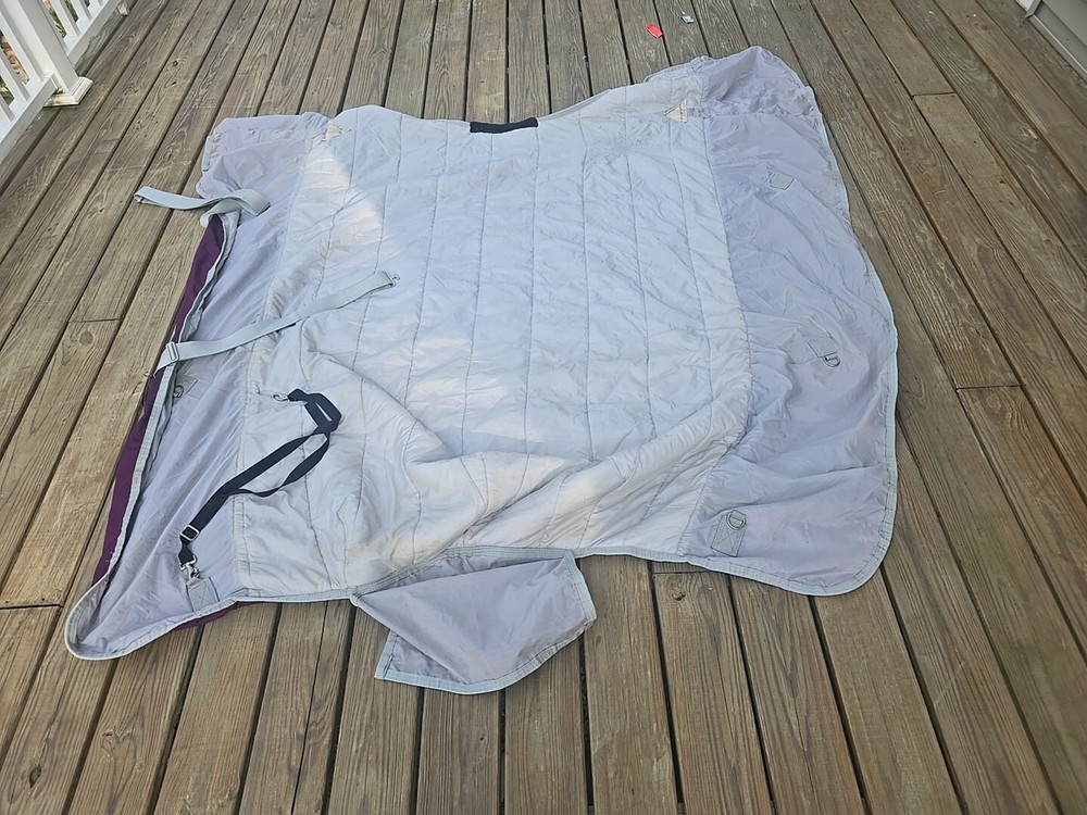 horse blanket