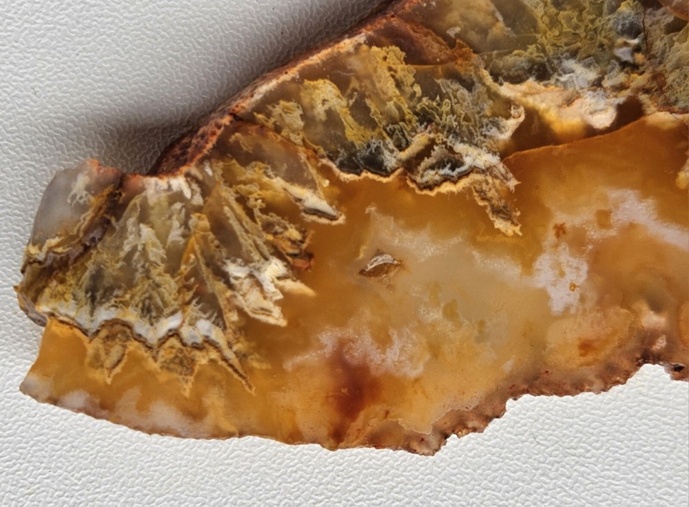 Graveyard Plume Agate Lapidary Slab 46 Grams