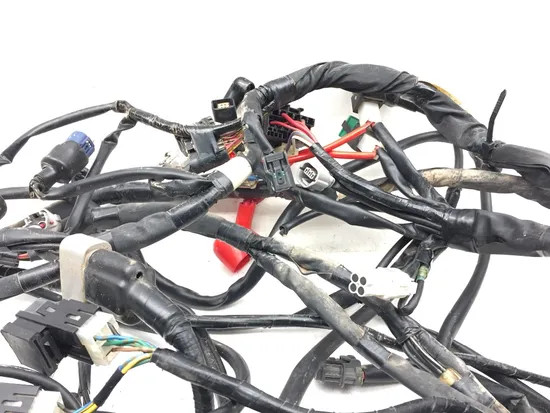 Main Engine Wiring Harness 2016 Yamaha YXZ1000R 3057