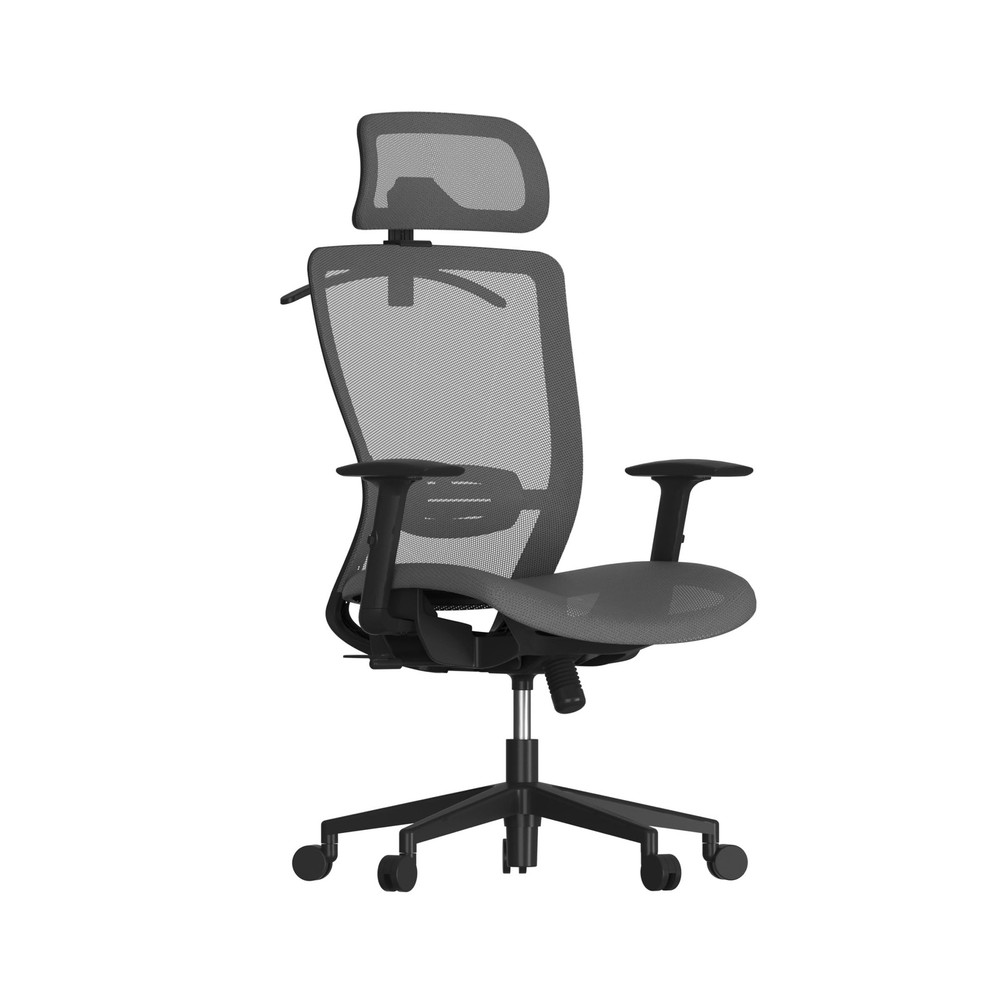 FLEXISPOT Ergonomic Office Chair, High Back Mesh Swivel Computer Chair, Execu...