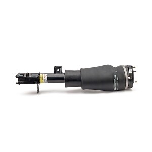 Frt Strut Arnott AS2962