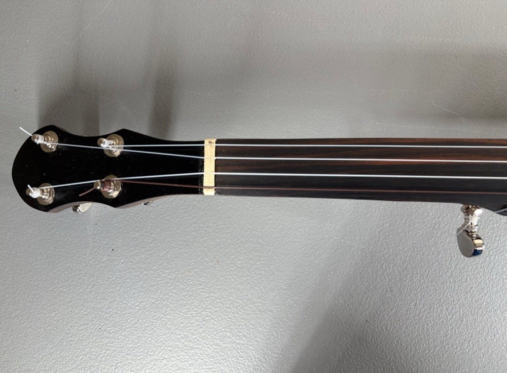 5-String Open-Back Banjo with Case in Excellent Condition, Nylon Strings