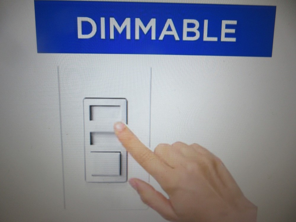 Progress Lighting Fan Light Kits Collection 2-Light Graphite Ceiling Fan Light