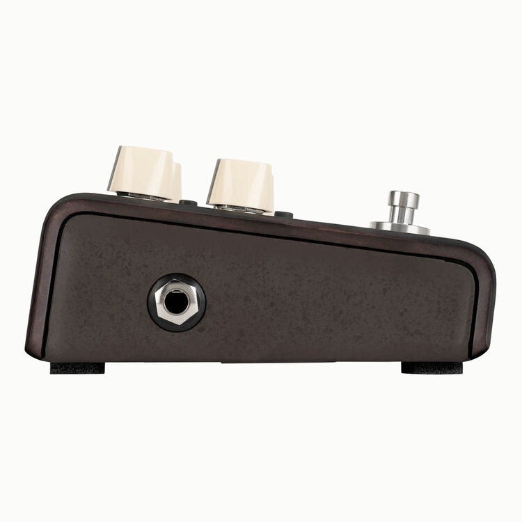 LR Baggs Align Series Delay Acoustic Guitar Delay Pedal