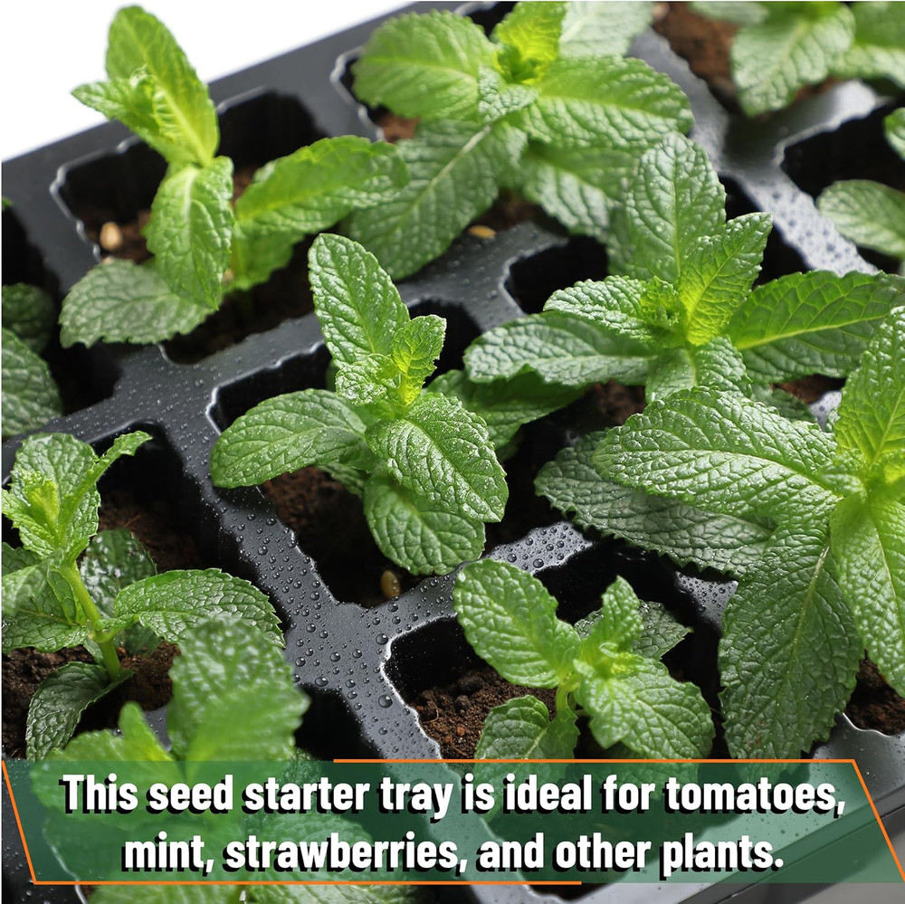 - Seed Starter Tray Kits, 10 Pack, Total 400 Cells, Durable Plant Germination Tr