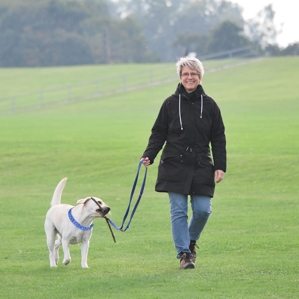 Adjustable Dog Training Collar With 4 Extra Links For Medium Large And X-Large