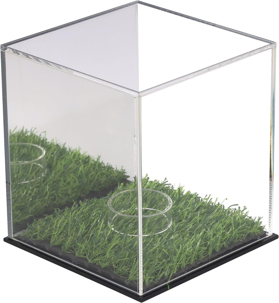 Pro UV Protected Arcylic Softball Display Case Baseball Display Case Stand Champ