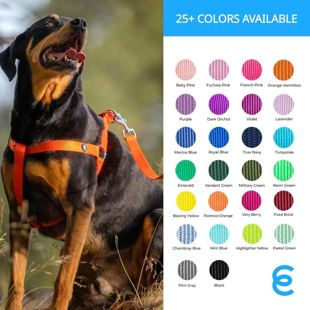 Essentials Durable Classic Dog Leash | Basic Nylon| 4ft. x 1" Large | Pastel ...