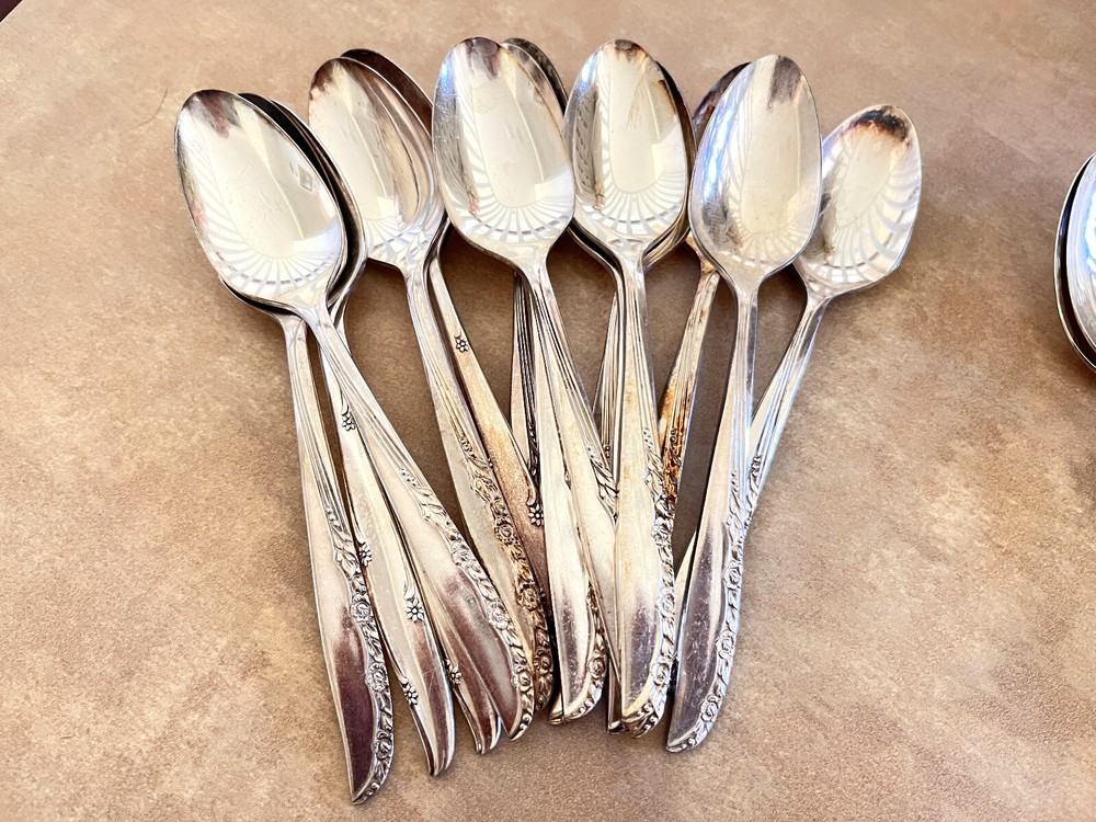 55 Pcs Oneida LTD WM.A. Rogers BRITTANY ROSE Silverplate Silverware Flatware Set
