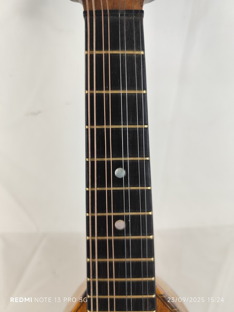 Mandolin 4/4 Giuseppe Cesolari 1930 Rome 曼陀林 만돌린マンドリン