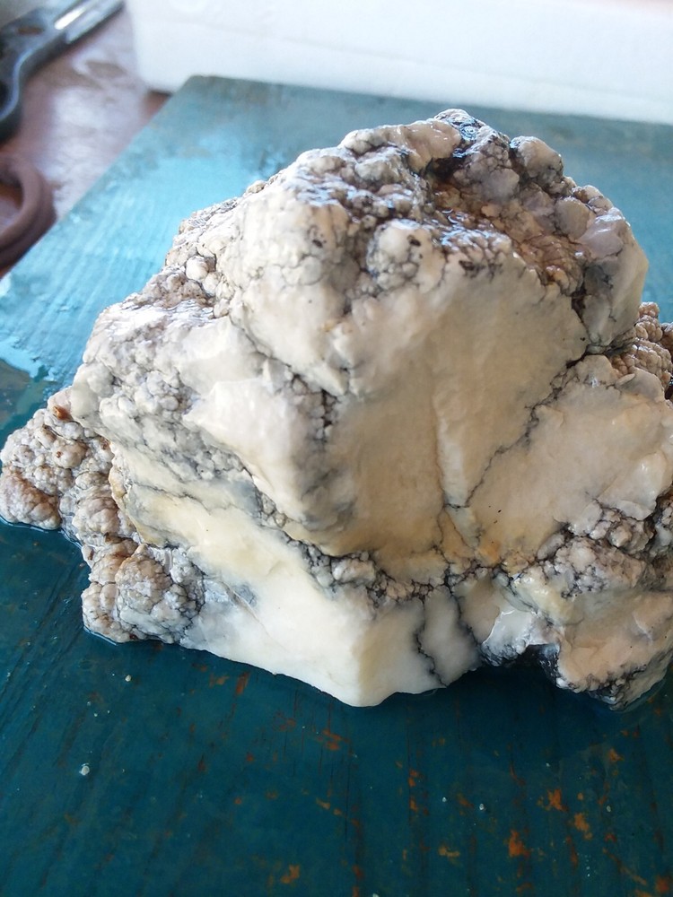 Lapidary Howlite Window Cut Spider Veining Collect Display