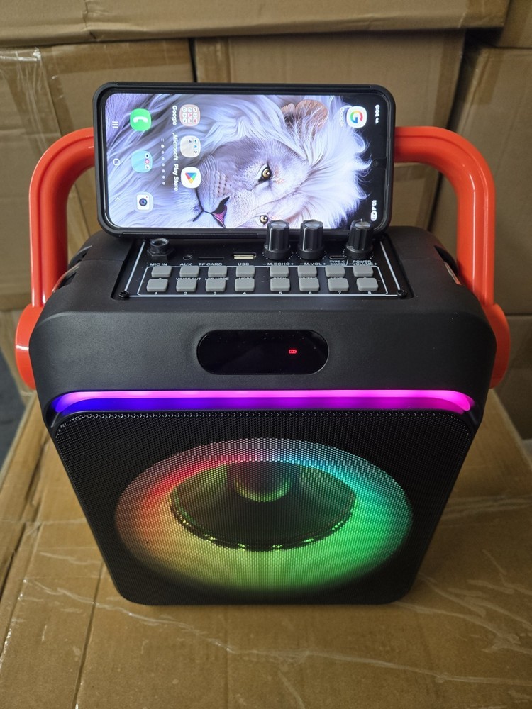 Karaoke Machine with 2 Wireless Microphones  Portable Bluetooth Karaoke Speaker