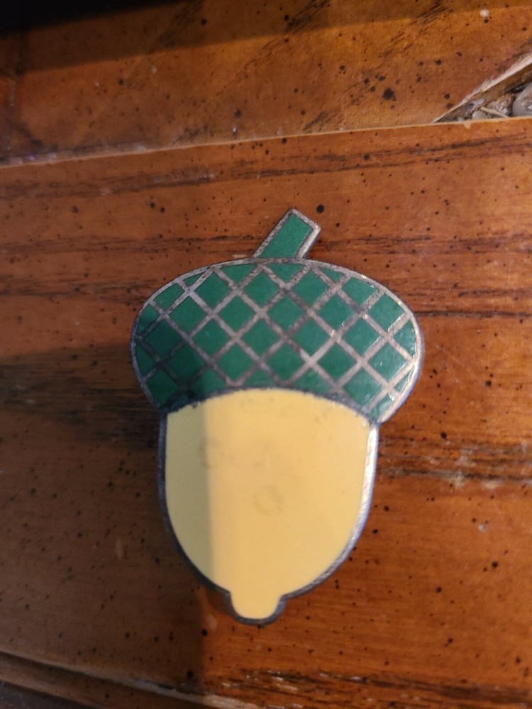Civil War 14th Corps Badge