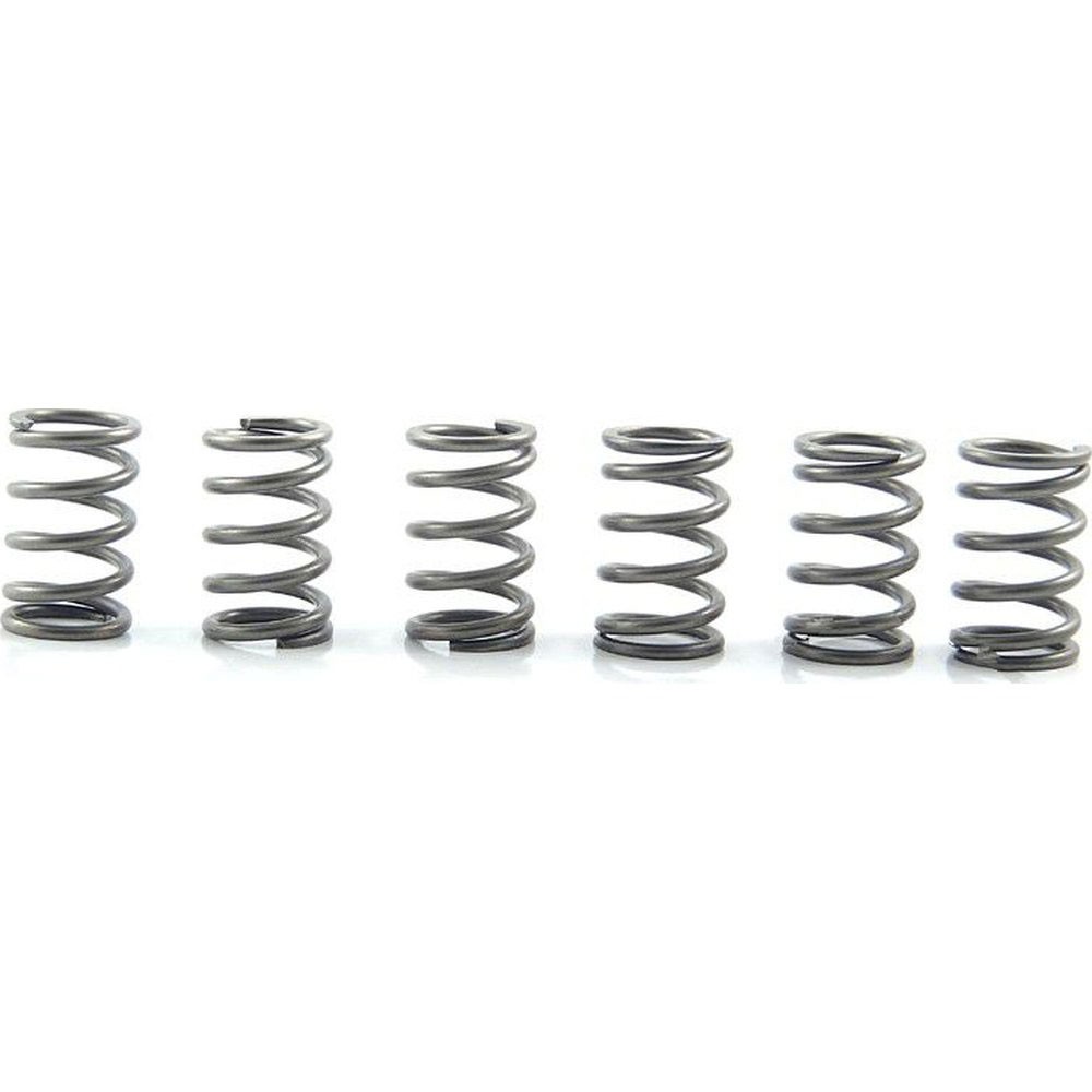 EBC CSK Clutch Spring Kit - CSK171