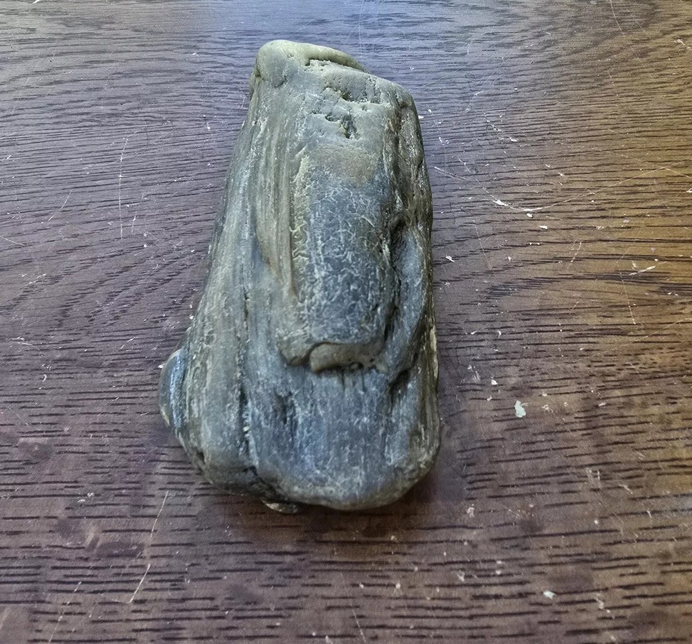Petrified Wood