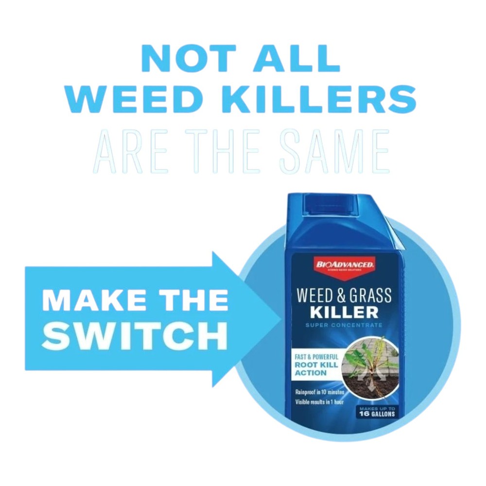 BioAdvanced Weed & Grass Killer Super Concentrate 8 Bottle Bundle 32-Oz Each