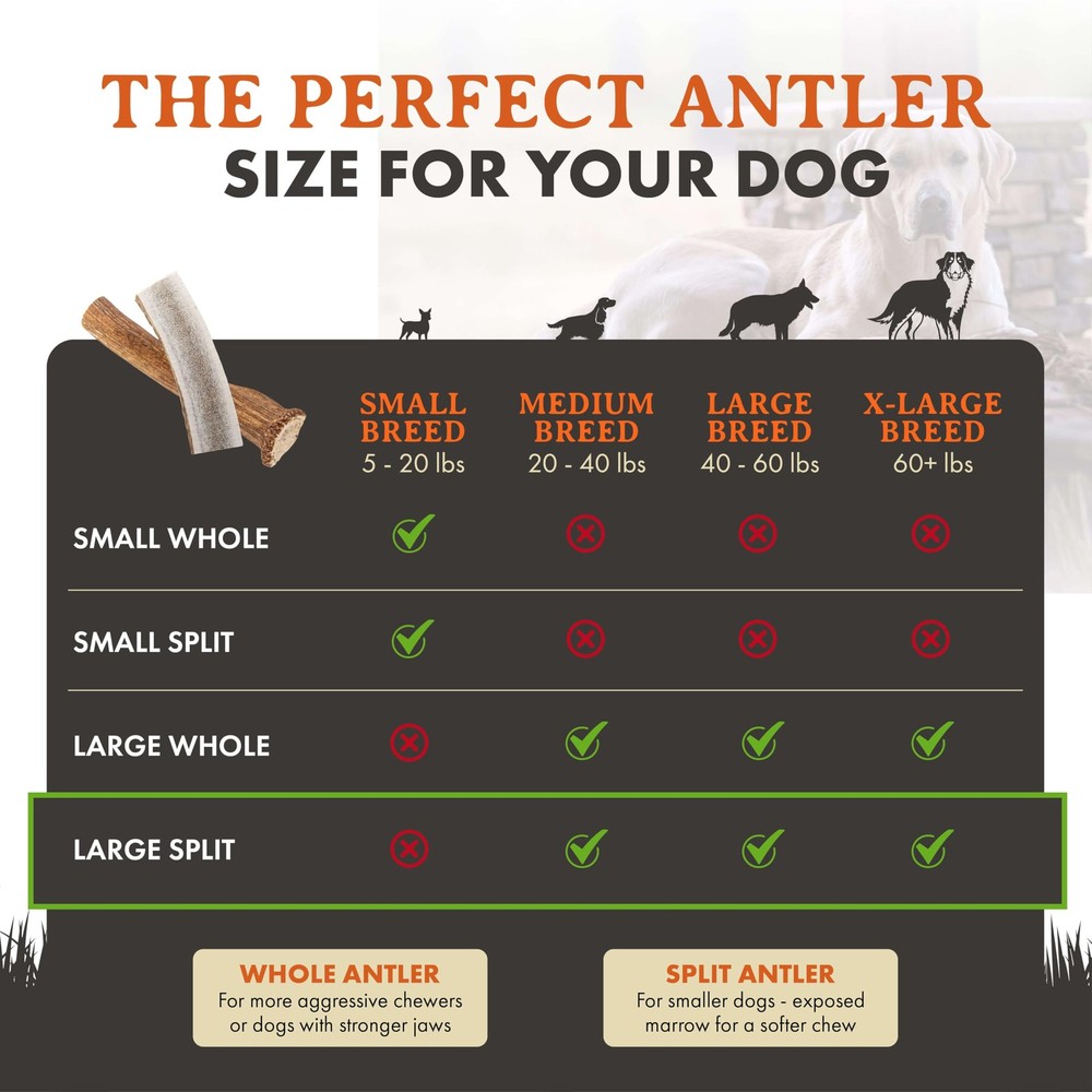 Elk Antler Chews (Large, Split)