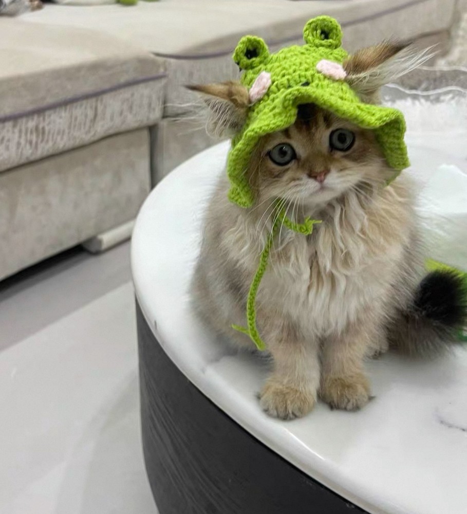 Cute Knitted Frog hat for cats