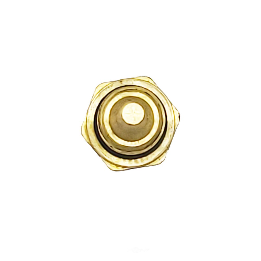 Coolant Temp Sensor Holstein 2CTS0193