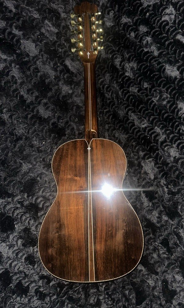 Washington Moretti 10 String Viola