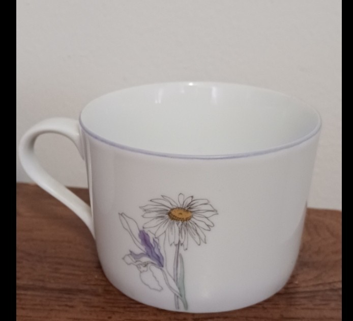 Spode Spal Cups Pair Floral Goertzen Pattern